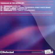 Back View : Tensnake - TENSNAKE IN THE HOUSE EP 1 - Defected / ITH36EP1