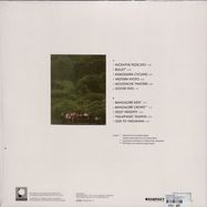 Back View : Springintgut - WHERE WE NEED NO MAP (LP) - Pingipung / Pingipung 37 LP