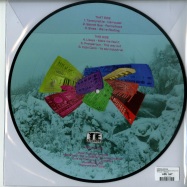 Back View : Various Artists - SWEET SYNTHETIC COLLECTION (PICTURE DISC) - TE Records / TEREC029