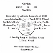 Back View : Gordan - DOWN IN THE MEADOW (LP) - Morphine Records / DOSER041