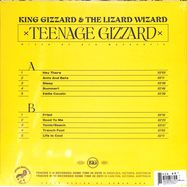 Back View : King Gizzard & The Lizard Wizard - TEENAGE GIZZARD (LP) - Diggers Factory / DFLPKG7