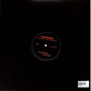 Back View : Pangaea - FUZZY LOGIC / STILL FLOWING WATER - Hessle Audio / HES040