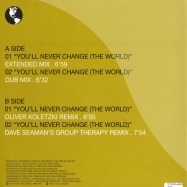 Back View : Believers feat. Chelonis R. Jones - YOU LL NEVER CHANGE (THE WORLD) - Falco005