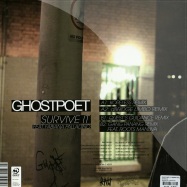 Back View : Ghostpoet ft Fabiana Palladino - SURVIVE IT (DBRIDGE REMIX) - Brownswood / BWOOD065