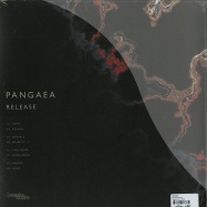 Back View : Pangaea - RELEASE (2X12) - Hessle Audio / hes023