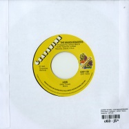 Back View : Lester Tipton / The Masqueraders - THIS WONT CHANGE / HOW (7 INCH) - Grapevine / GRP138