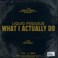 Back View : Liquid Pegasus - WHAT I ACTUALLY DO - City Babe Records / cb1