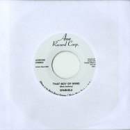 Back View : Sparkels - TRY LOVE (ONE MORE TIME) / THAT BOY OF MINE (7 INCH) - AOE Record Corp. / aoe030