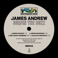 Back View : James Andrew - SURFIN THE BUZZ - Nothing But Nice / NBN005