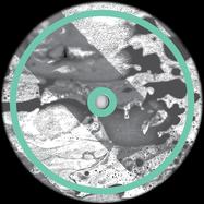 Back View : Steve Stoll - EVOLUCION ACIDA - Sonic Groove / SG26106