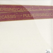 Back View : Various - PULVERISING! CASSIS - Pulver038