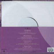 Back View : Various Artists - SPLIT EP (10 INCH) - Dance to the Radio / dttr066