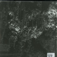 Back View : RVO - TACITURN MANNER (2X12 LP) - Telemorph / TELEMORPH004