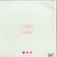 Back View : Tempers - FUNDAMENTAL FANTASY (JOAKIM REMIX) - The Vinyl Factory / VF236