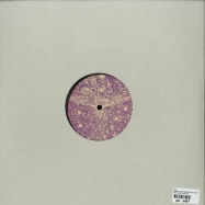 Back View : ARK - NOISES & SOME VOICES EP (180 G VINYL) - Silver Network / Silver 045