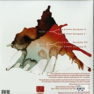 Back View : Jeff Snyder - SUNSPOTS (2X12 LP) - Carrier Records / CARRIER034