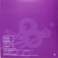 Back View : Rhys Celeste - MICROLITH VI (2LP) - Fundamental Records / FUND027