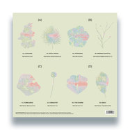 Back View : Nick Warren - TURBULENCE (2LP) - The Soundgarden / SG146