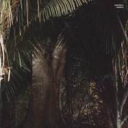 Back View : Acid Pauli - URWALD - All Is Acid / AIA002