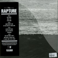 Back View : The Rapture - IN THE GRACE OF YOUR LOVE (2LP) - DFA / dfa2284LP