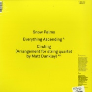 Back View : Snow Palms - EVERYTHING ASCENDING (CLEAR VINYL) - Village Green / VGEP053 / 8833178