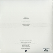 Back View : Fran Norr, Blinkar - METAPHORS FOR THINGS (2LP+MP3) - A Strangely Isolated Place / ASIPV 022