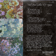 Back View : Paul David Gillman - COLOURS OF THE EARTH (LP) - Sacred Rhythm Music / SRM.10005
