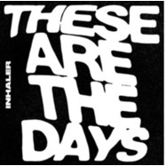 Back View : Inhaler - THESE ARE THE DAYS (7INCH VINYL) - Polydor / 4584826