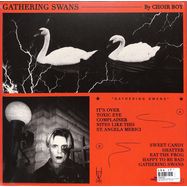 Back View : Choir Boy - GATHERING SWANS (LTD CLEAR LP) - Dais / DAIS147LPC3 / 00156427