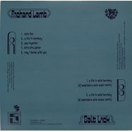 Back View : Richard Lamb - SALT LICK (INC DJ SOTOFETT MIXES) - Souvenirs From Imaginary Cities / SFIC003