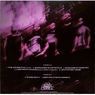 Back View : Civerous - MAZE ENVY (BLACK VINYL) (LP) - 20 Buck Spin / SPIN 180LP