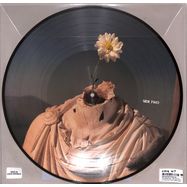 Back View : The Offspring - SPLINTER (1 LP DIE CUT PICTURE DISC - RSD 24) - Round Hill Music / 5834843_indie