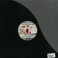 Back View : Natan H - GAVE EP - Mysterious Russian Soul Records / MRS003