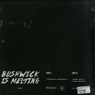 Back View : Black Meteoric Star / Lorna Dune / J Slusher - BUSHWICK IS MELTING VOLUME 2 - Sister Jam / SJ 002