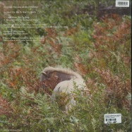 Back View : Christian Fennesz & Jim O Rourke - ITS HARD FOR ME TO SAY IM SORRY - Editions Mego / Emego221