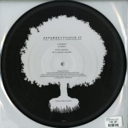 Back View : Apparat - SILIZIUM (PICTURE EP + MP3) - Shitkatapult / Strike169 /  05175671