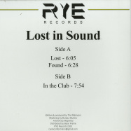 Back View : The Robinson - LOST IN SOUND - RYE Records / RYE02