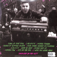 Back View : Dropkick Murphys - TURN UP THAT DIAL (LP) - Pias, Born And Bred / 39227581