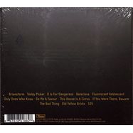 Back View : Arctic Monkeys - FAVOURITE WORST NIGHTMARE (DIGISLEEVE, CD) - Domino Records / WIGCD188E