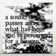 Back View : Thomas Prestin / Carsten Uhlig - THE RIVER (LP, HAND NUMBERED EDITION) - Zustandszone / Z-ONE