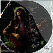 Back View : Jimmy Page - BURN UP (PICTURE DISC) - Cleopatra Records / clplp8207