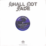 Back View : Viggo Dyst - EVERYTHING ELSE IS SECONDARY (CLEAR BLUE VINYL) - Shall Not Fade / SNFCC003