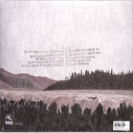 Back View : Foxing - THE ALBATROSS: TEN YEARS (BROWN VINYL LP) - Many Hats / MISC42