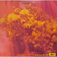 Back View : Halo Maud - CELEBRATE (LP) - Pias, Heavenly Recordings / 39232141