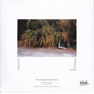 Back View : Giuseppe Ielasi / Jack Sheen - THE VESTIGE (LP+DL) - Black Truffle / Black Truffle 132