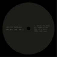 Back View : Cosimo Damiano - BREAKS THE SHELL - Spazio Disponibile / SPAZIONERO003