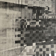 Back View : A_A (aka Satoshi Tomiie & Nao Gunji) - UBIQUITY (LP) - A_A / AUALP003