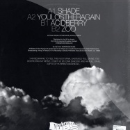 Back View : Anthony Collins - SHADE EP - Darkroom Dubs / DRD014