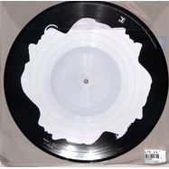 Back View : Disturbed - BELIEVE (LP) PicVinyl - Reprise Records / 9362490006