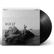 Back View : Delta Spirit - WHAT IS THERE (LP) - Pias-New West Records / LP-NW5409